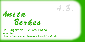 anita berkes business card